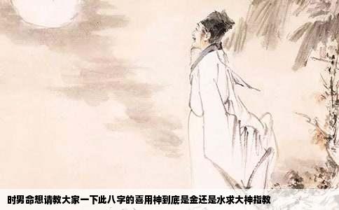 时男命想请教大家一下此八字的喜用神到底是金还是水求大神指教