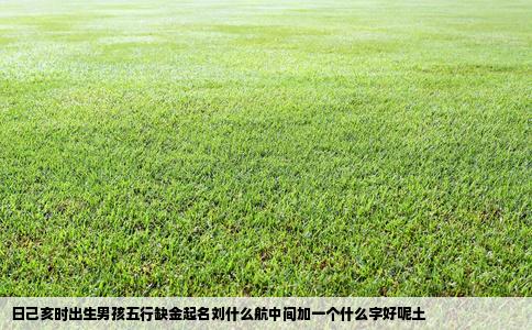 日己亥时出生男孩五行缺金起名刘什么航中间加一个什么字好呢土