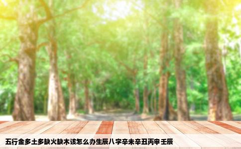 五行金多土多缺火缺木该怎么办生辰八字辛未辛丑丙申壬辰