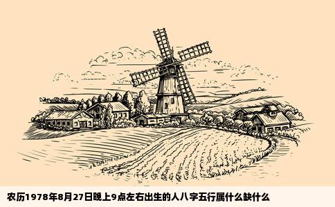 农历1978年8月27日晚上9点左右出生的人八字五行属什么缺什么