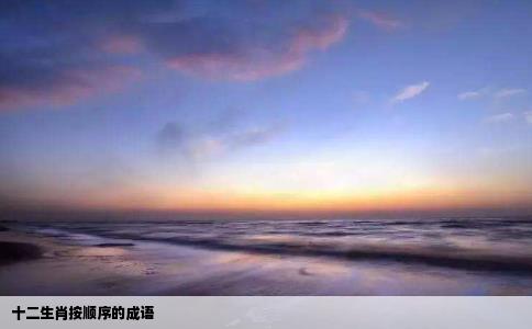 十二生肖按顺序的成语