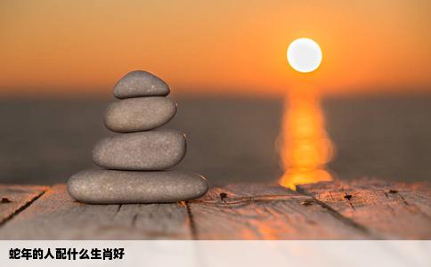 蛇年的人配什么生肖好