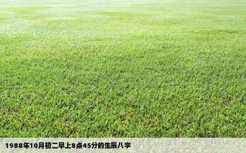 1988年10月初二早上8点45分的生辰八字