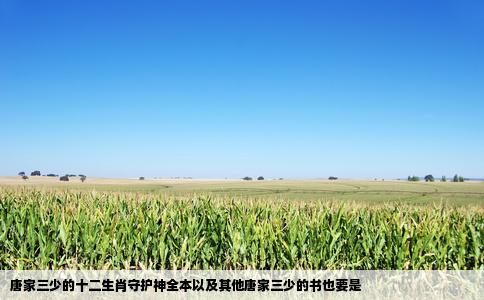 唐家三少的十二生肖守护神全本以及其他唐家三少的书也要是