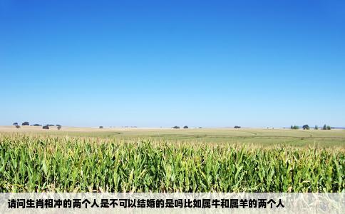 请问生肖相冲的两个人是不可以结婚的是吗比如属牛和属羊的两个人
