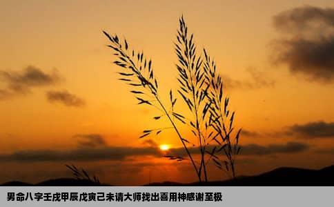 男命八字壬戌甲辰戊寅己未请大师找出喜用神感谢至极