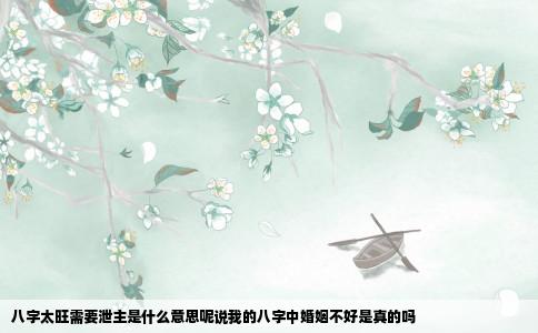 八字太旺需要泄主是什么意思呢说我的八字中婚姻不好是真的吗