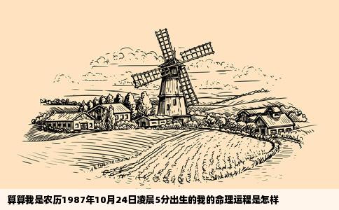 算算我是农历1987年10月24日凌晨5分出生的我的命理运程是怎样