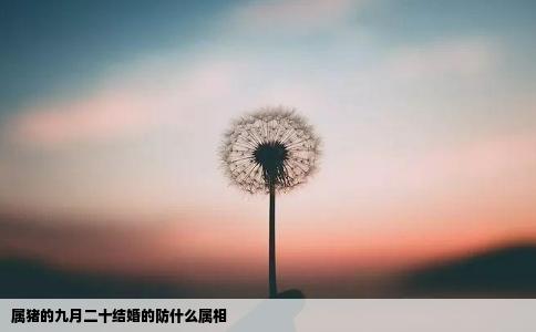 属猪的九月二十结婚的防什么属相