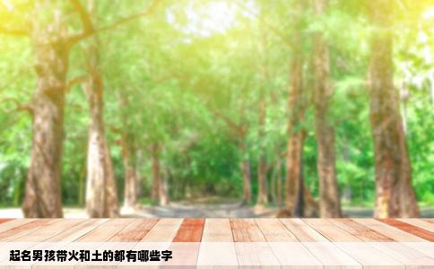 起名男孩带火和土的都有哪些字