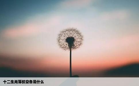 十二生肖落枕空各是什么