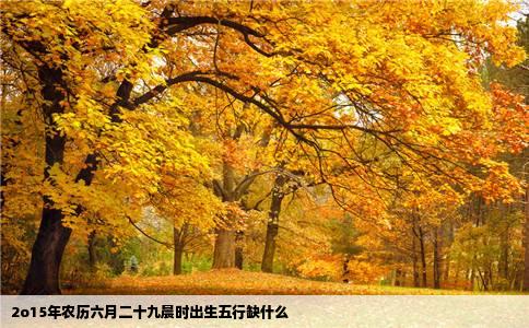 2o15年农历六月二十九晨时出生五行缺什么