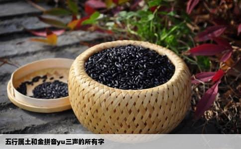 五行属土和金拼音yu三声的所有字