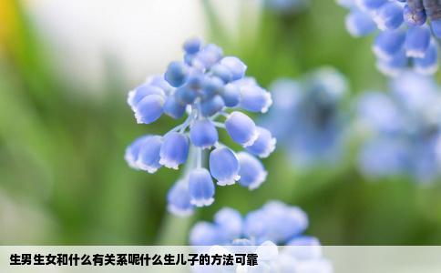生男生女和什么有关系呢什么生儿子的方法可靠