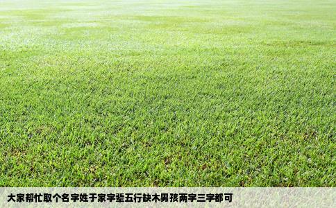 大家帮忙取个名字姓于家字辈五行缺木男孩两字三字都可