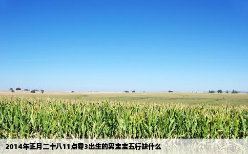 2014年正月二十八11点零3出生的男宝宝五行缺什么