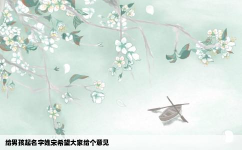 给男孩起名字姓宋希望大家给个意见