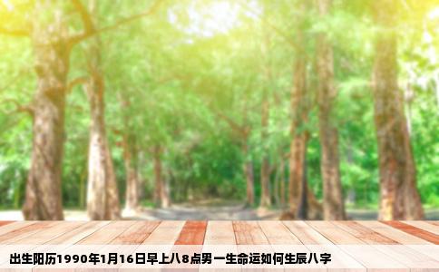 出生阳历1990年1月16日早上八8点男一生命运如何生辰八字