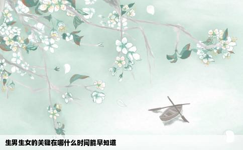 生男生女的关键在哪什么时间能早知道