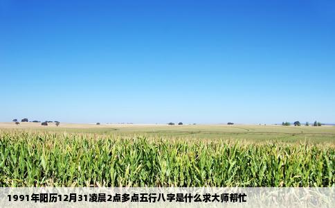 1991年阳历12月31凌晨2点多点五行八字是什么求大师帮忙