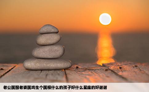 老公属猴老婆属鸡生个属相什么的孩子好什么星座的好谢谢