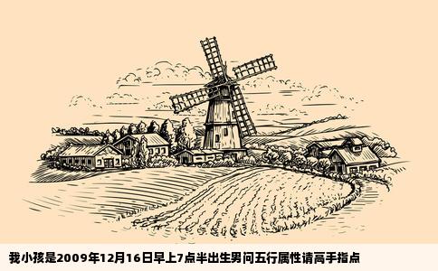我小孩是2009年12月16日早上7点半出生男问五行属性请高手指点