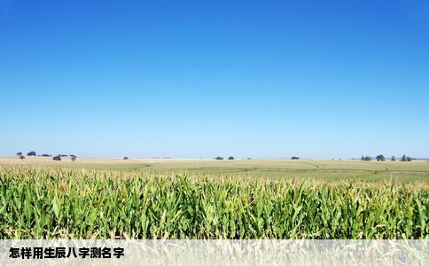 怎样用生辰八字测名字