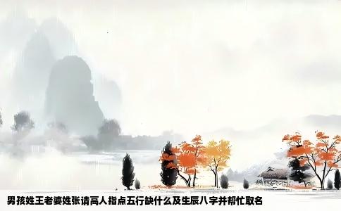 男孩姓王老婆姓张请高人指点五行缺什么及生辰八字并帮忙取名