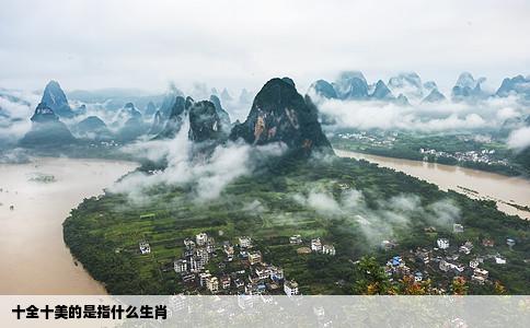 十全十美的是指什么生肖