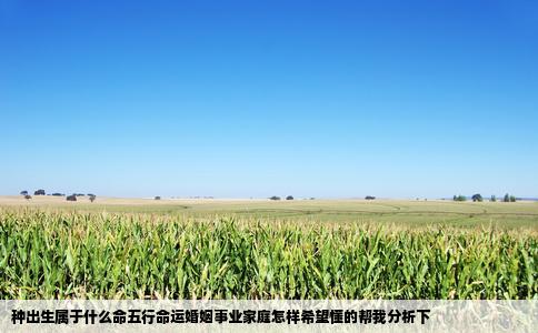 种出生属于什么命五行命运婚姻事业家庭怎样希望懂的帮我分析下