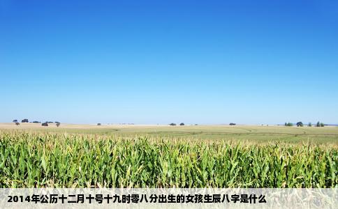 2014年公历十二月十号十九时零八分出生的女孩生辰八字是什么