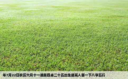 年7月22日农历六月十一凌晨四点二十五出生请高人算一下八字五行