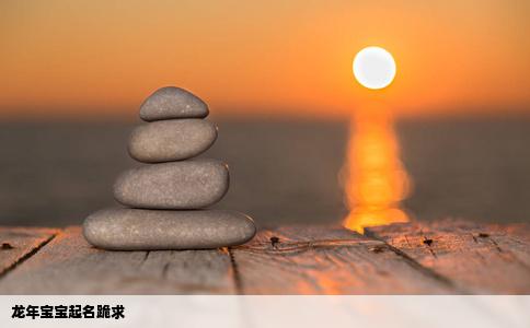 龙年宝宝起名跪求