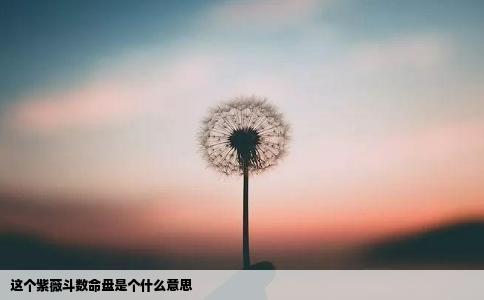 这个紫薇斗数命盘是个什么意思