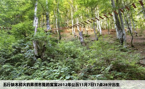 五行缺木和火的男孩名我的宝宝2012年公历11月7日17点28分出生