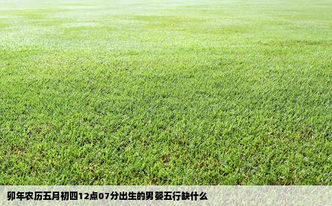 卯年农历五月初四12点07分出生的男婴五行缺什么