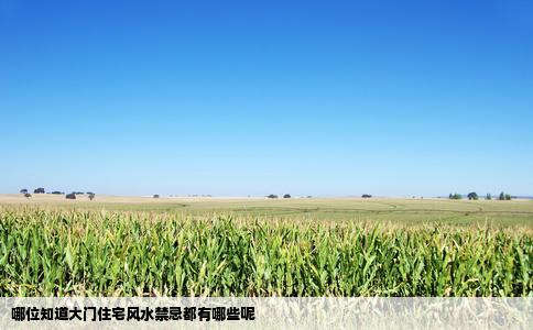 哪位知道大门住宅风水禁忌都有哪些呢