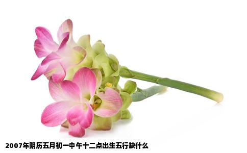 2007年阴历五月初一中午十二点出生五行缺什么