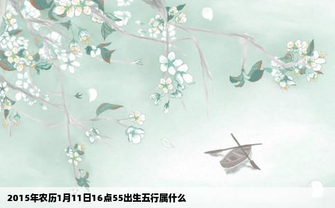 2015年农历1月11日16点55出生五行属什么