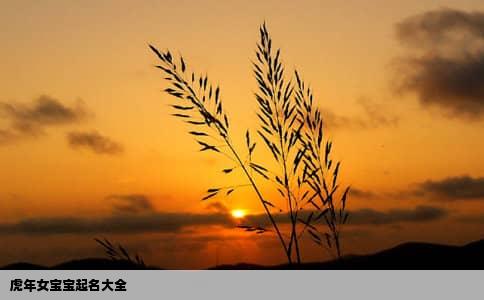 虎年女宝宝起名大全