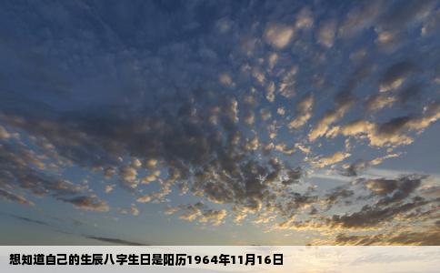 想知道自己的生辰八字生日是阳历1964年11月16日