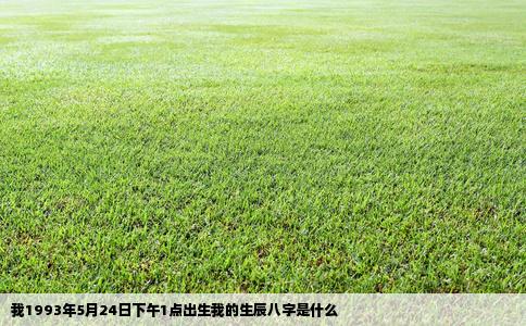 我1993年5月24日下午1点出生我的生辰八字是什么