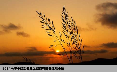 2014马年小孩起名怎么取都有哪些注意事情