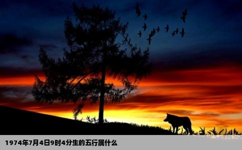 1974年7月4日9时4分生的五行属什么