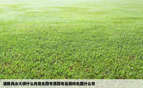 请教风水大师什么向是东四宅西四宅坐西向东属什么宅