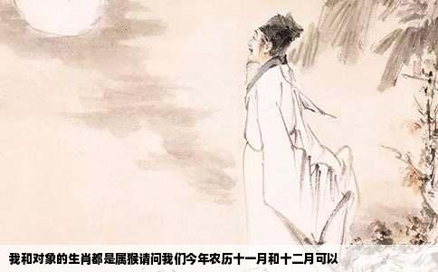我和对象的生肖都是属猴请问我们今年农历十一月和十二月可以