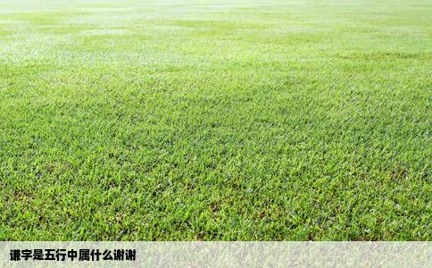 谦字是五行中属什么谢谢