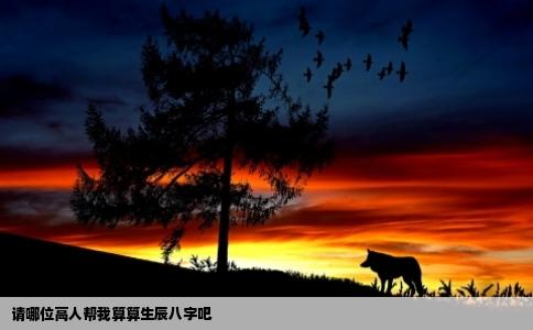 请哪位高人帮我算算生辰八字吧