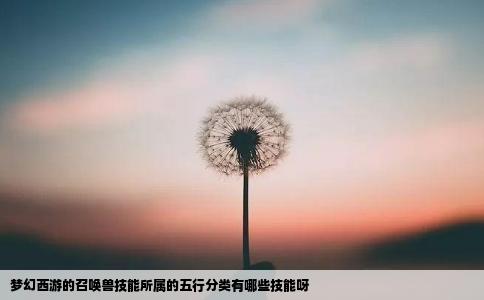 梦幻西游的召唤兽技能所属的五行分类有哪些技能呀