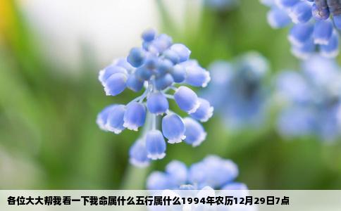 各位大大帮我看一下我命属什么五行属什么1994年农历12月29日7点